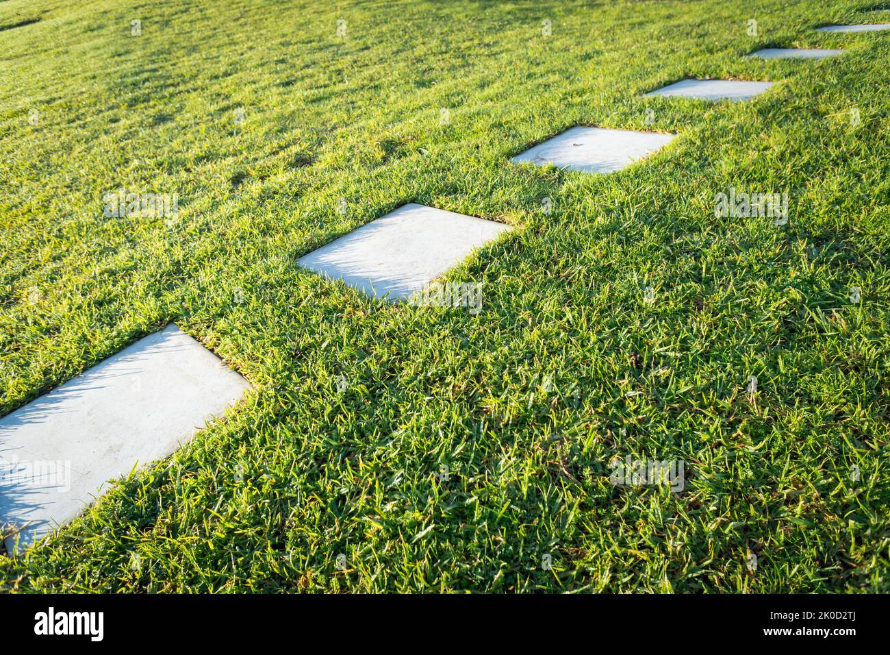 Diagonal line of grass block pavers among lush green grass Stock Photo