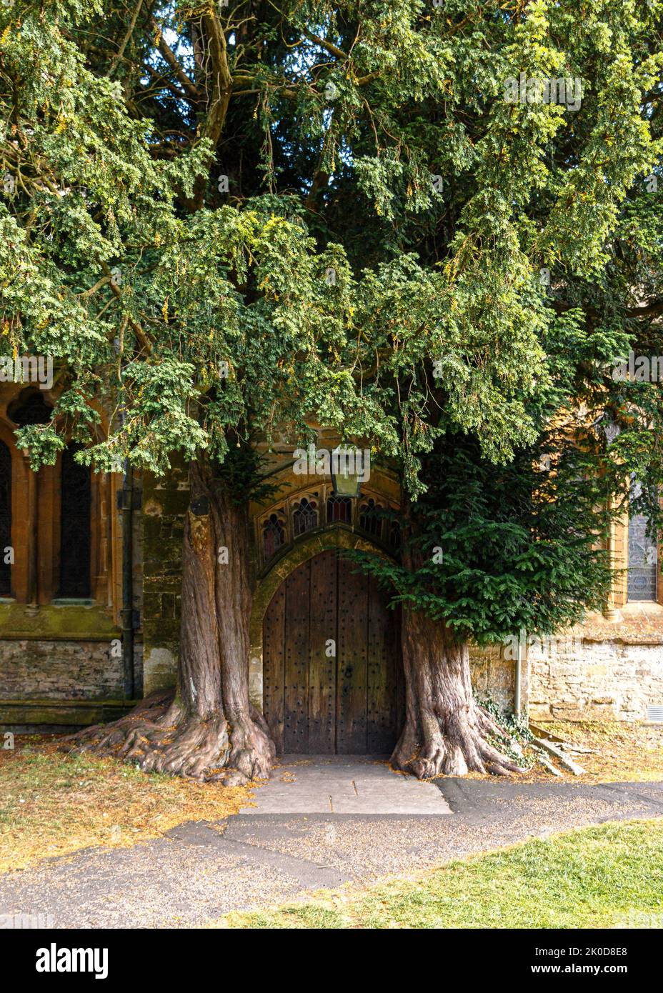 The St Edwards Church door with two yew trees on the sides in Stow-on-the-Wold, United Kingdom Stock Photo