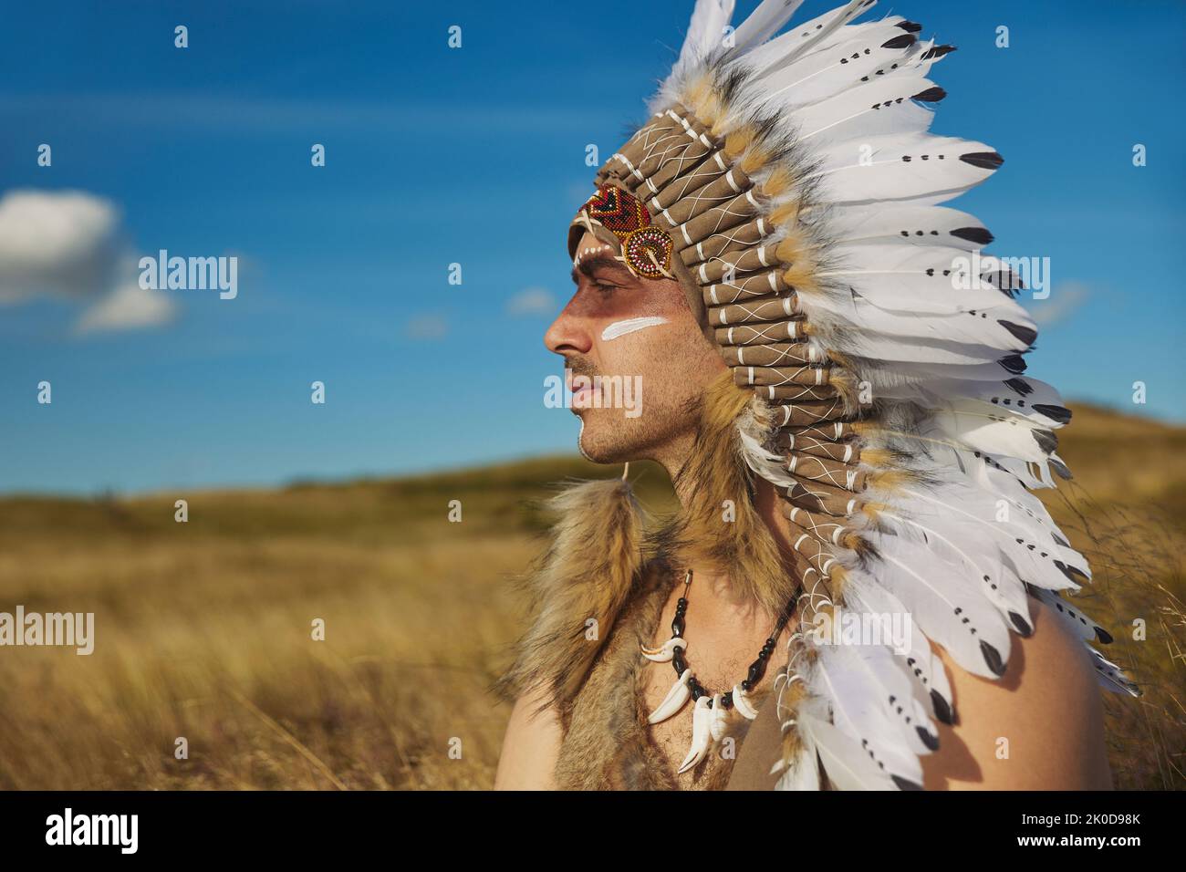 A man in traditional Native American clothing in the steppe Stock Photo ...