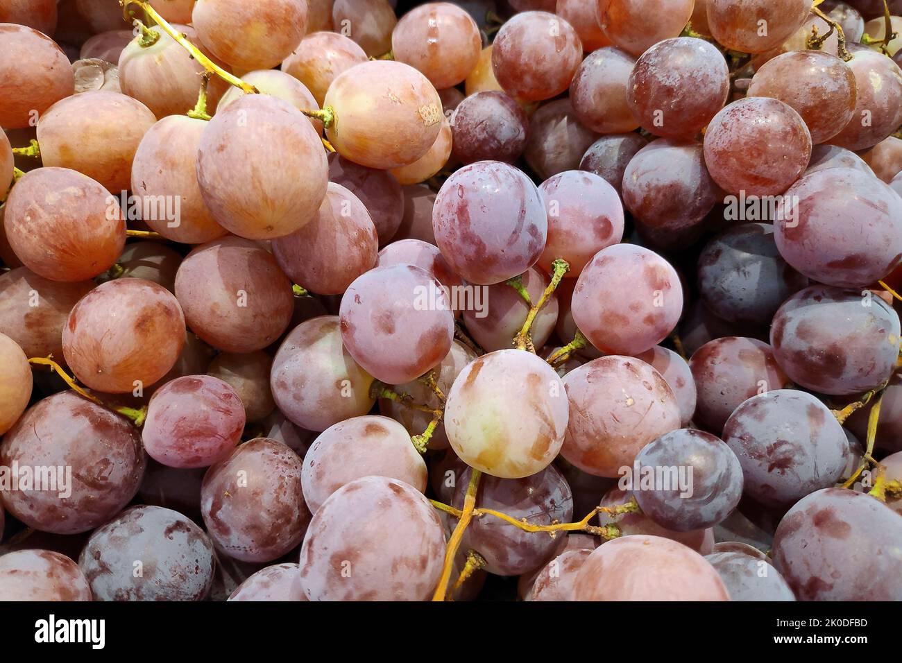 Close-up on a stack of Rose Grapes on a market stall. Stock Photo