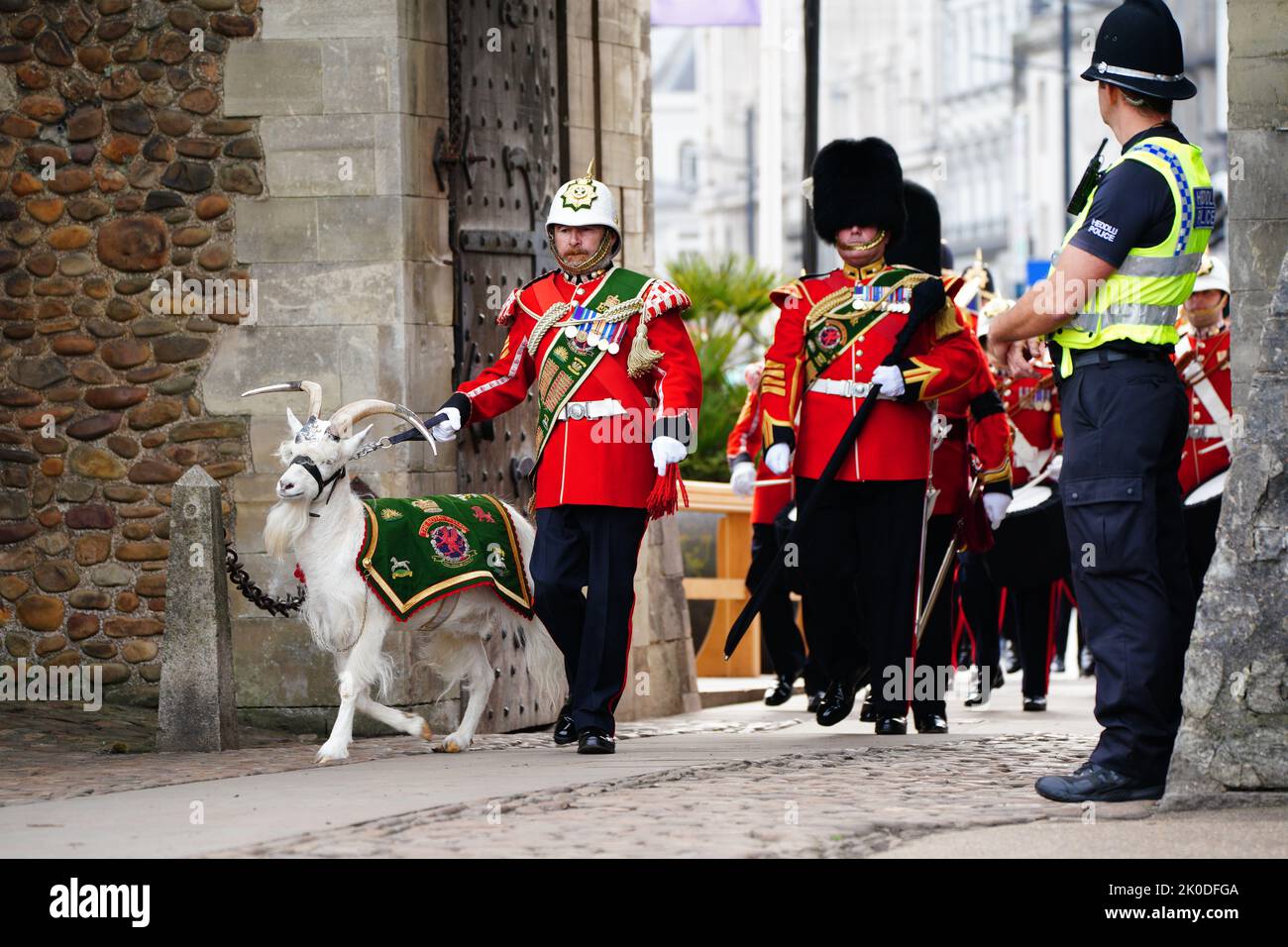 Lance Corporal Shenkin IV, the regimental mascot goat, accompanies the 3rd Battalion of the Royal Welsh regiment at the Accession Proclamation Ceremony at Cardiff Castle, Wales, publicly proclaiming King Charles III as the new monarch. Picture date: Sunday September 11, 2022. Stock Photo