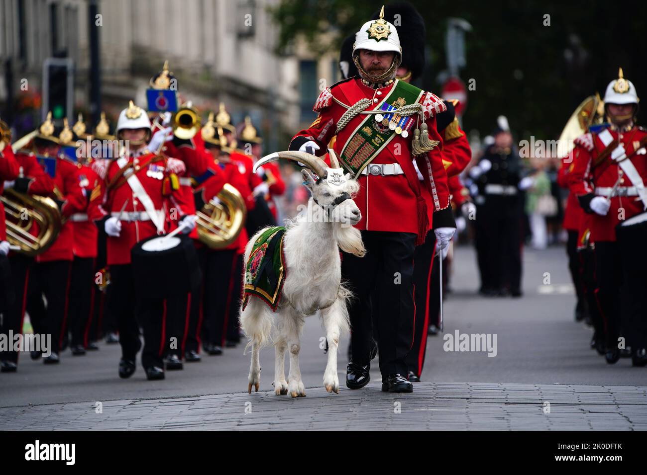 Lance Corporal Shenkin IV, the regimental mascot goat, accompanies the 3rd Battalion of the Royal Welsh regiment at the Accession Proclamation Ceremony at Cardiff Castle, Wales, publicly proclaiming King Charles III as the new monarch. Picture date: Sunday September 11, 2022. Stock Photo