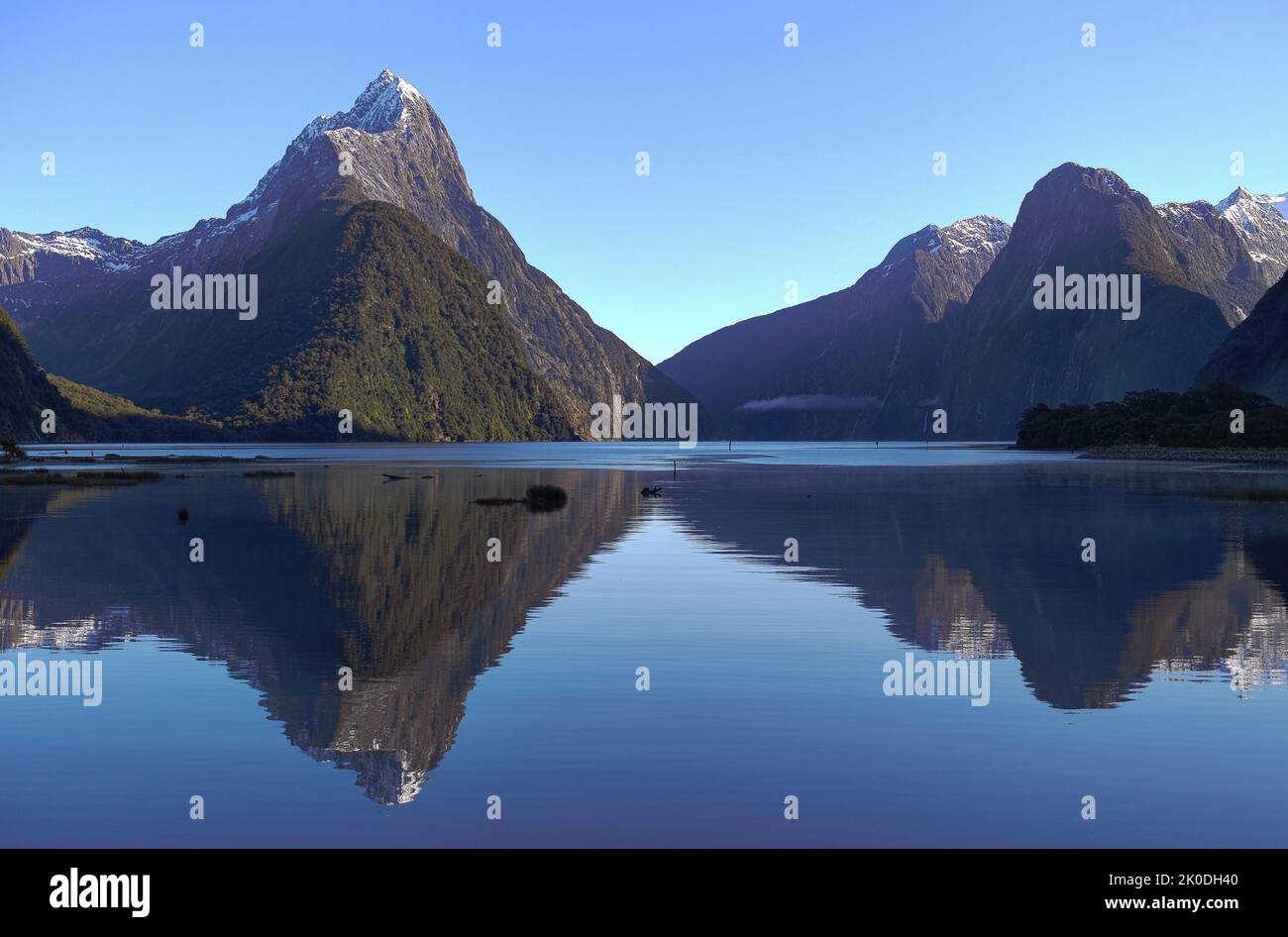 New Zealand, South Island, Fjordland National Park, Milford Sound Stock Photo
