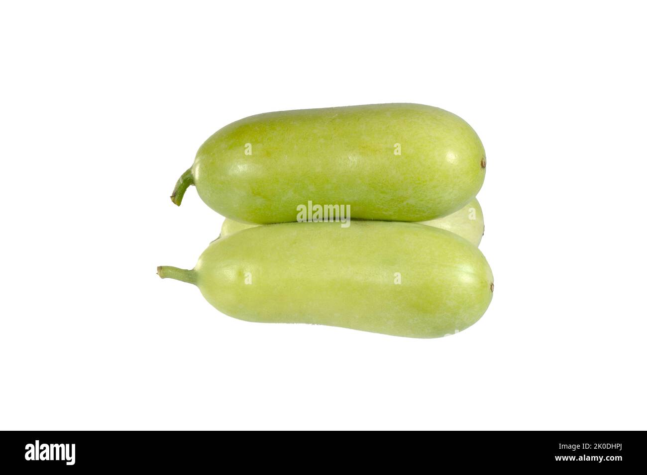 Fresh Bottle Gourd (Lagenaria siceraria). Also known as guava bean
