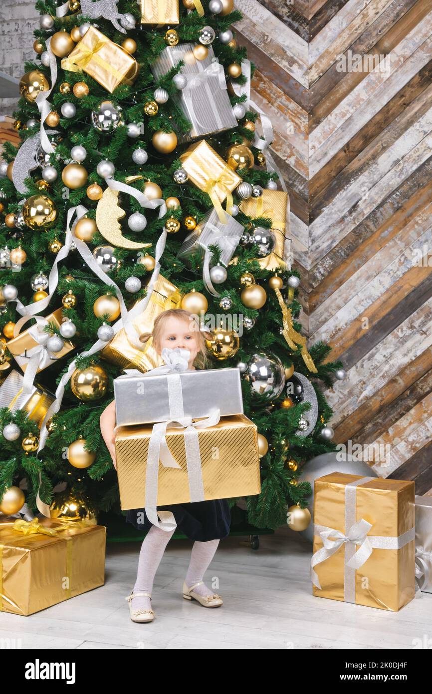 Portrait of elementary age girl wearing blue dress standing beside christmas tree holding big wrapped presents on boxing day Stock Photo