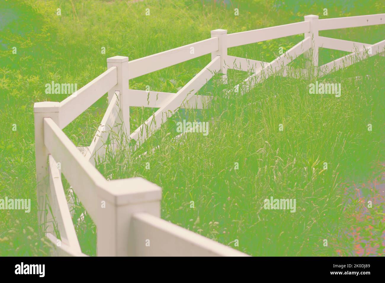 Traditional wooden fence surrounding the rural pasture Stock Photo - Alamy