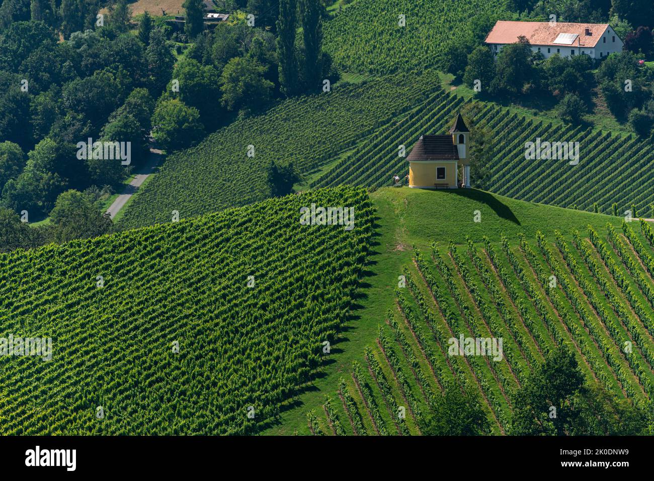 Beautiful view of Dreisiebner Chapel on a small hill surrounded by vineyard on a sunny summer day, near Sernauberg in Leutschach, south Styria, Austri Stock Photo