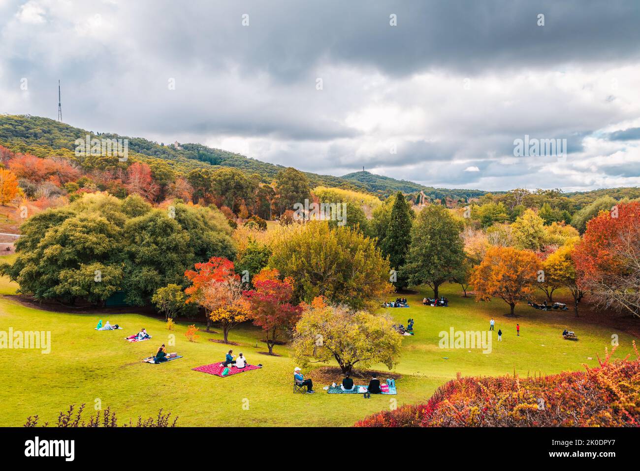 Crafers, South Australia - May 1, 2022: Mount Lofty Botanic Garden with people having picnic on a day during autumn season Stock Photo