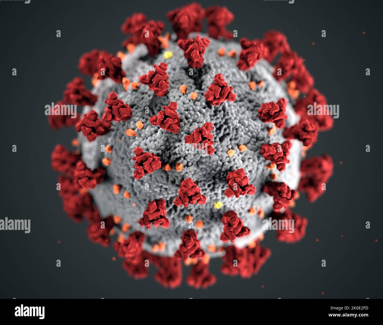 Illustration, created at the Centers for Disease Control and Prevention (CDC), of ultrastructural morphology exhibited by coronaviruses. A novel coronavirus, named Severe Acute Respiratory Syndrome coronavirus 2 (SARS-CoV-2), was identified as the cause of an outbreak of respiratory illness first detected in Wuhan, China in 2019. The illness caused by this virus has been named coronavirus disease 2019 (COVID-19). Stock Photo