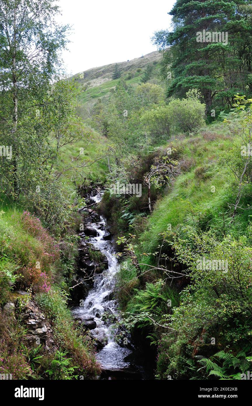Auf dem Rundweg bei den Inchree Falls in der Nähe von Onich hat man wunderschöne Ausblicke auf die schottischen Highlands bei Fort William. - The circ Stock Photo