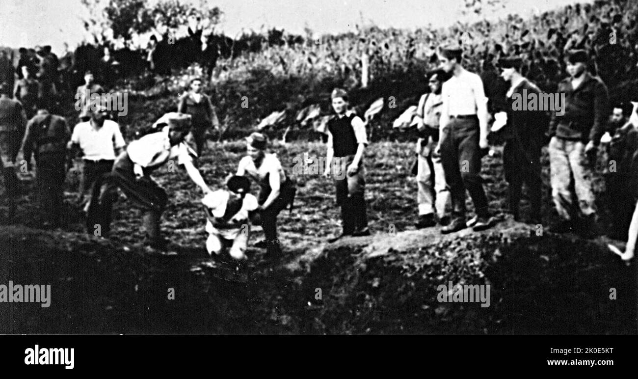 Ustasa militia execute prisoners near the Jasenovac concentration camp. The Ustasa (Croatian Revolutionary Movement) or Ustase was a Croatian fascist organization, between 1929 and 1945. Jasenovac was a concentration and extermination camp established in occupied Yugoslavia during World War II. Stock Photo