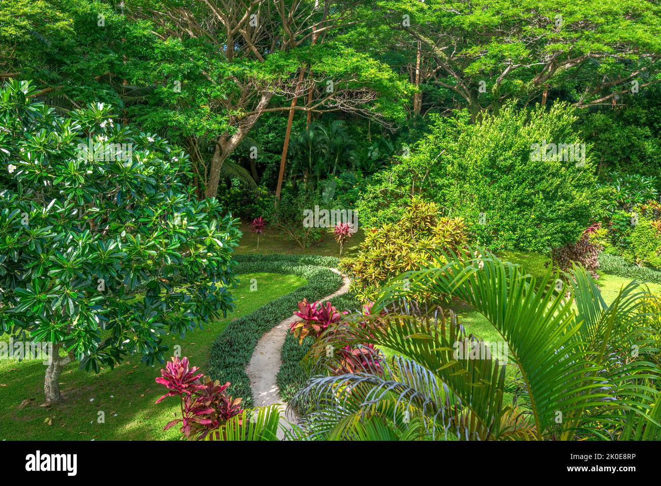 A walking path around a tropical resort's lush garden grounds shows healthy, vibrant trees, shrubs and other exotic growth. Stock Photo