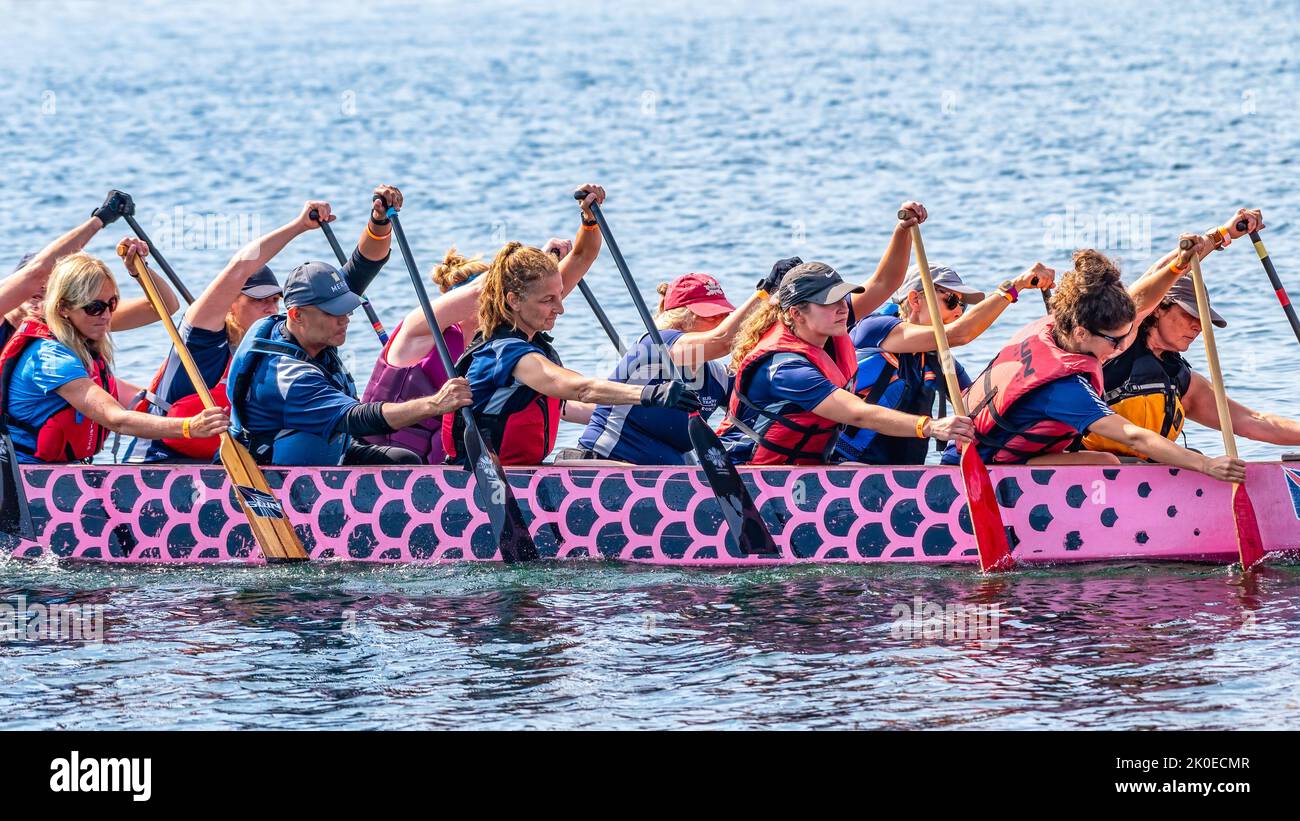 Toronto, Canada - September 10, 2022: A team paddles in a dragon boat during the GWN Dragon Boat Race. Stock Photo