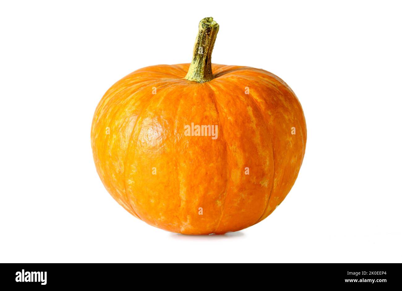 Pumpkin isolated on white background, one small squash, side view of fresh vegetable. Single yellow orange whole pumpkin on Halloween, Thanksgiving. D Stock Photo