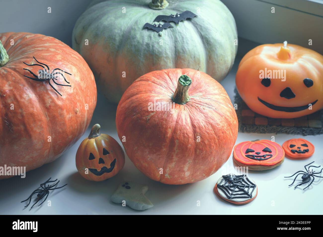 Halloween pumpkins and decorations at home. Vintage style photo of vegetables and sweets by window on hallowen. Concept of season, food, still life, a Stock Photo
