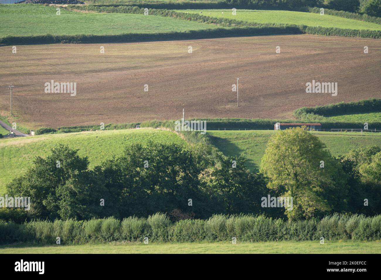 Thick apllication of farmyard manure on field prior to ploughing, Carmaqrthenshire, Wales, UK Stock Photo