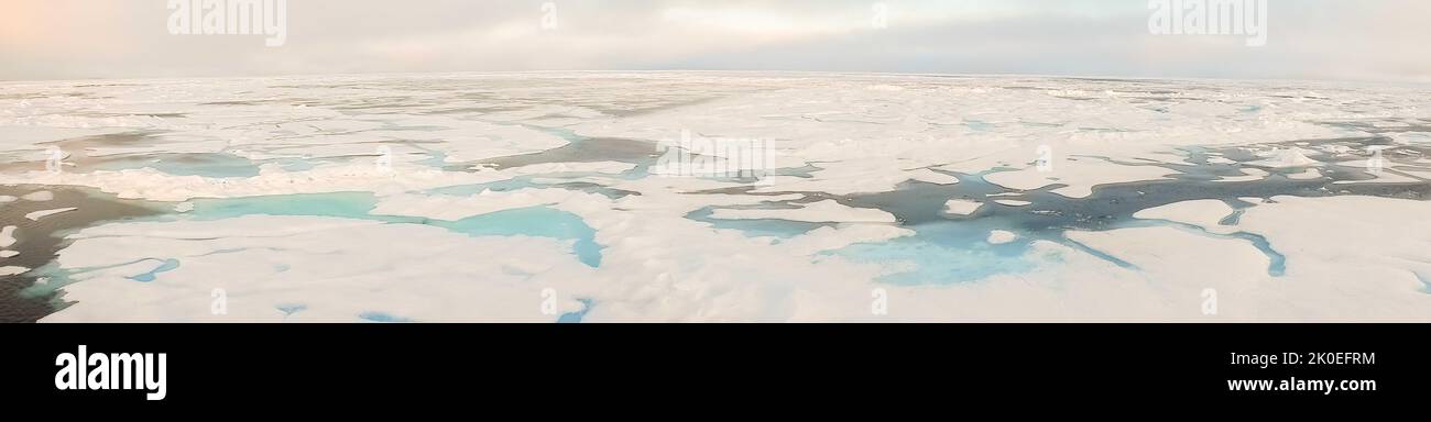 Field of pack ice in Beaufort Sea, Nunavut, Canada in high arctic with copy space. Stock Photo
