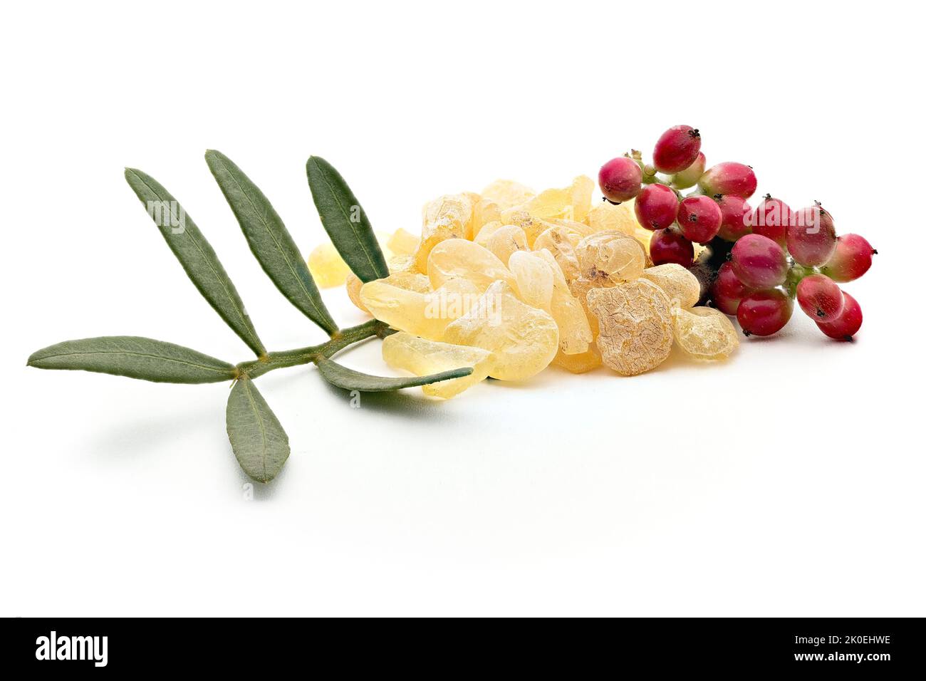 Chios mastic tears with lentisk (Pistacia lentiscus) leaves on a white background Stock Photo