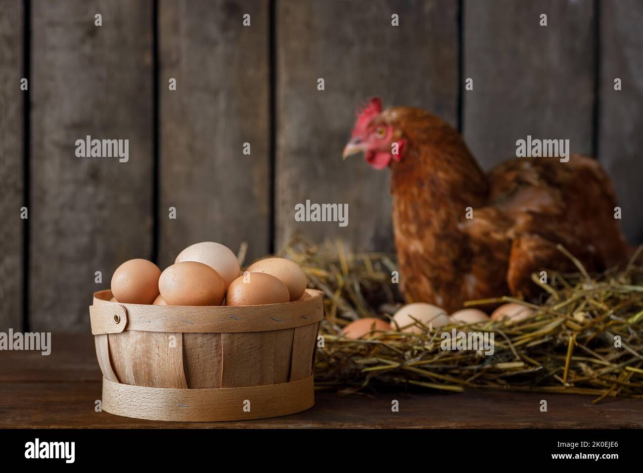 basket full of fresh eggs with red laying hen in nest inside a wooden ...