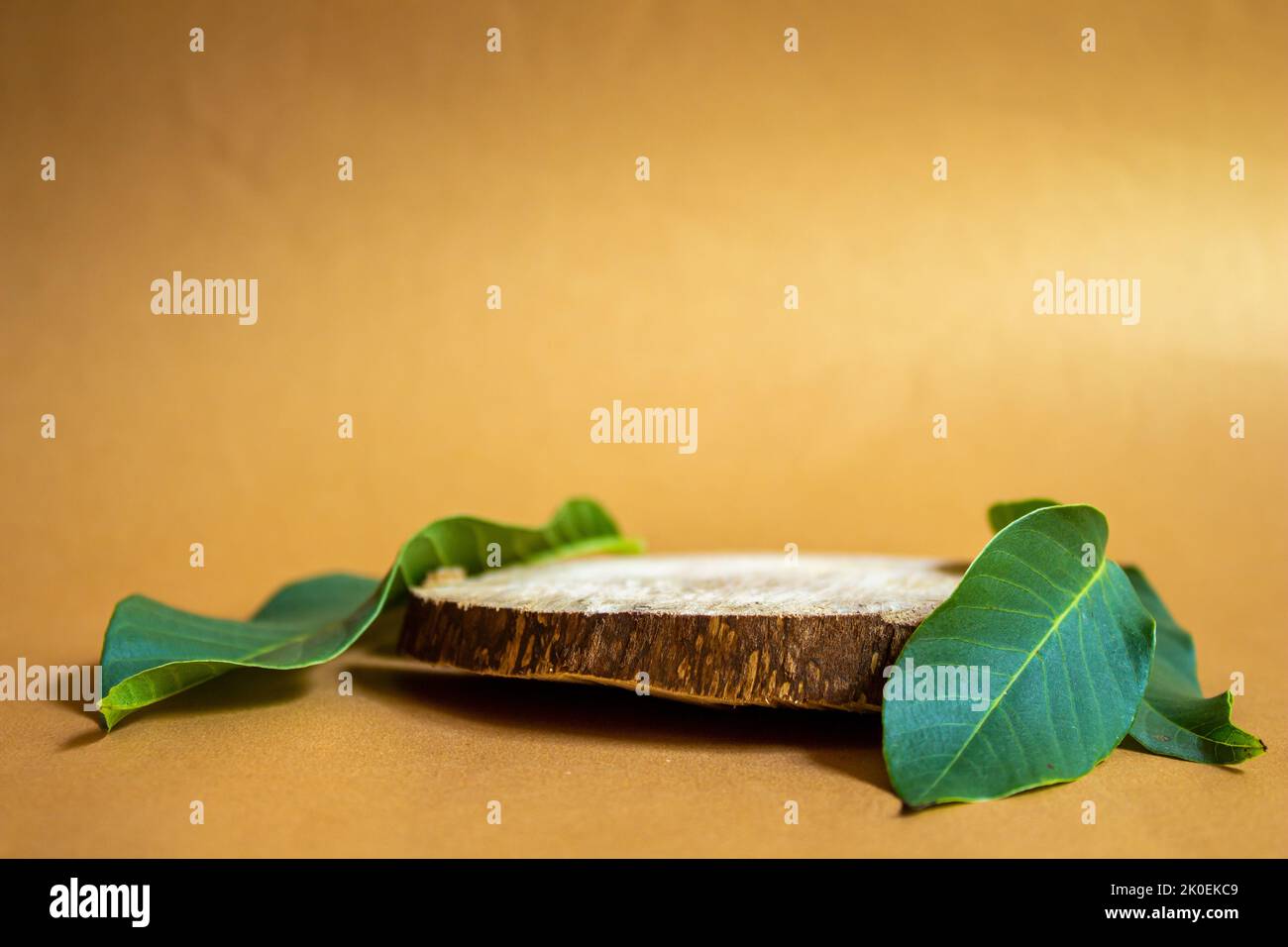 Wooden showcase on color background. Presentation podium for perfume and cosmetic products. Stock Photo