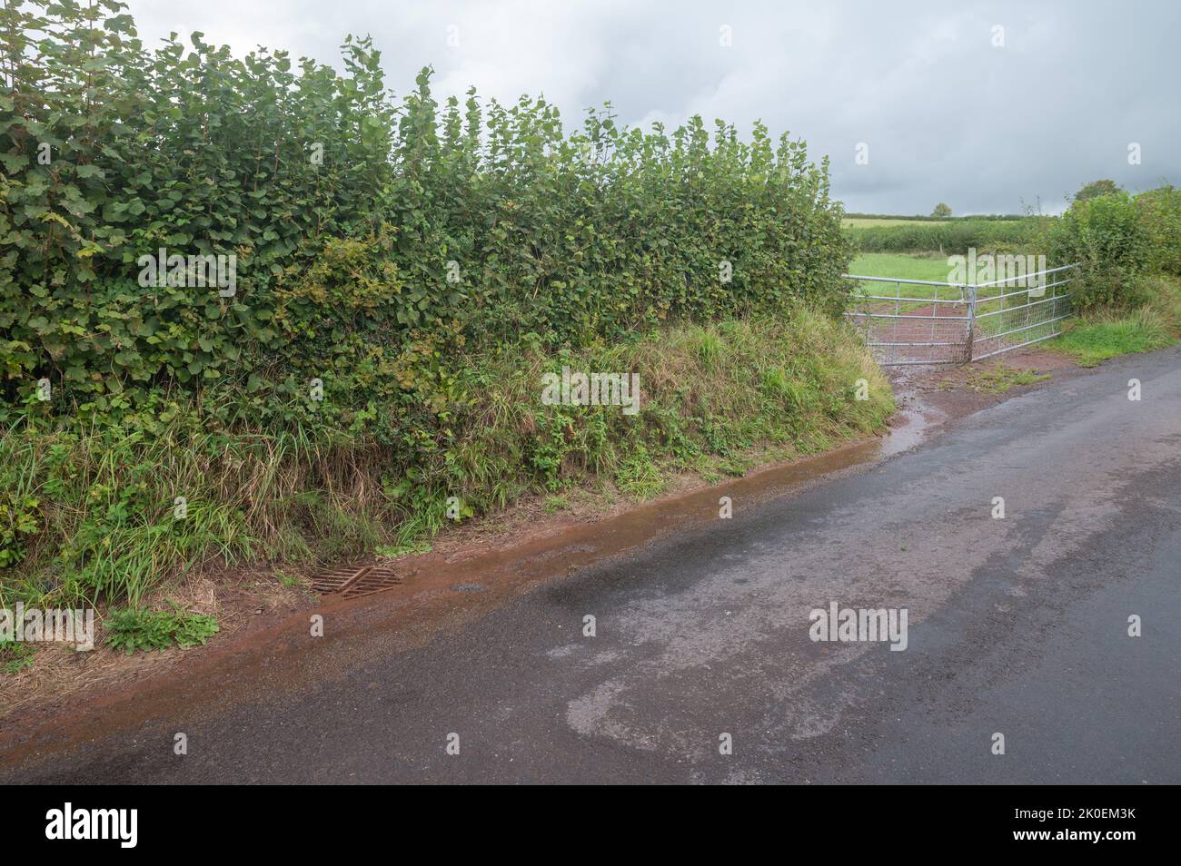 Sediment run-off from field entrance onto road and into surface drain, Carmarthenshire, Wales, UK Stock Photo