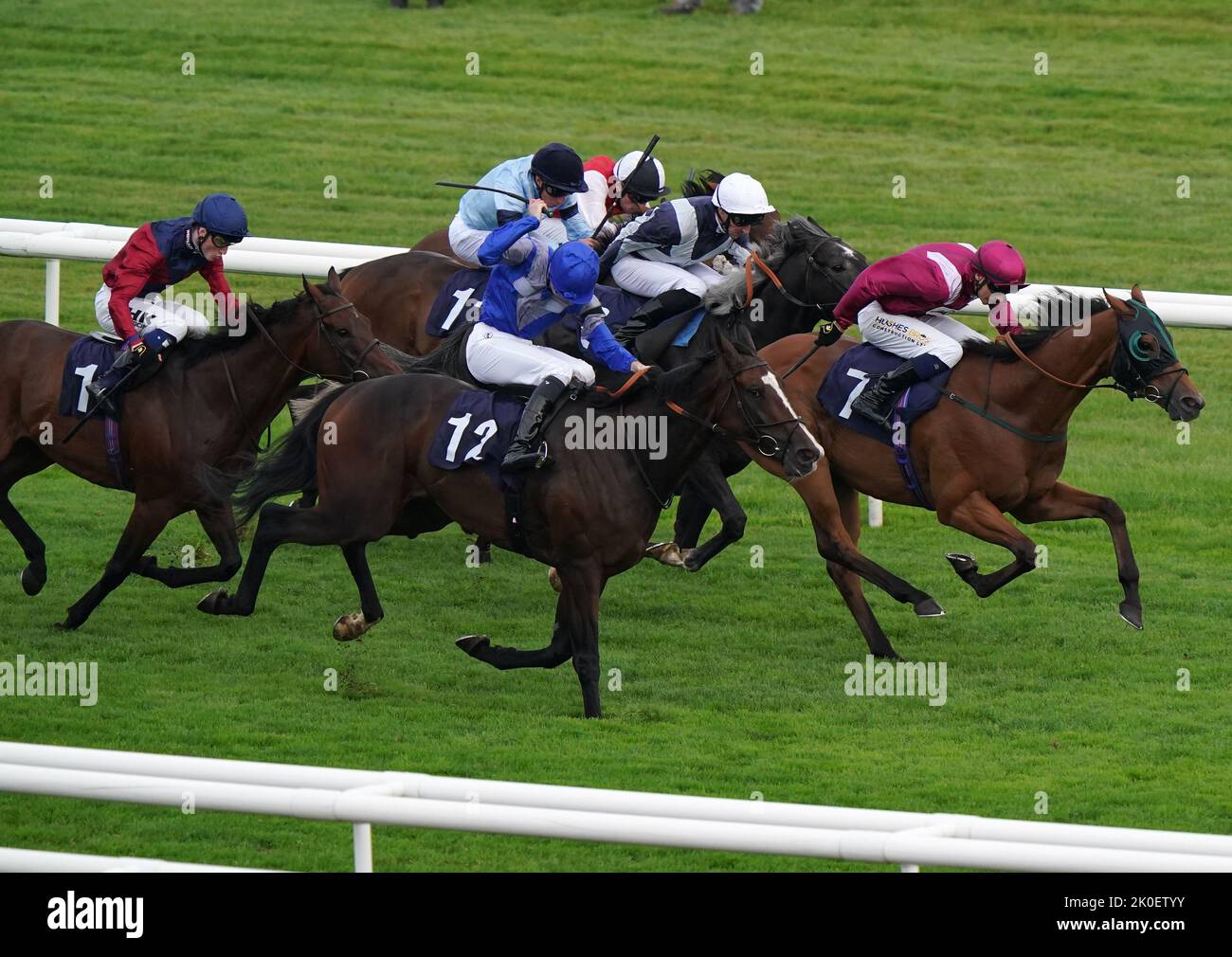 Atrium horse doncaster hires stock photography and images Alamy
