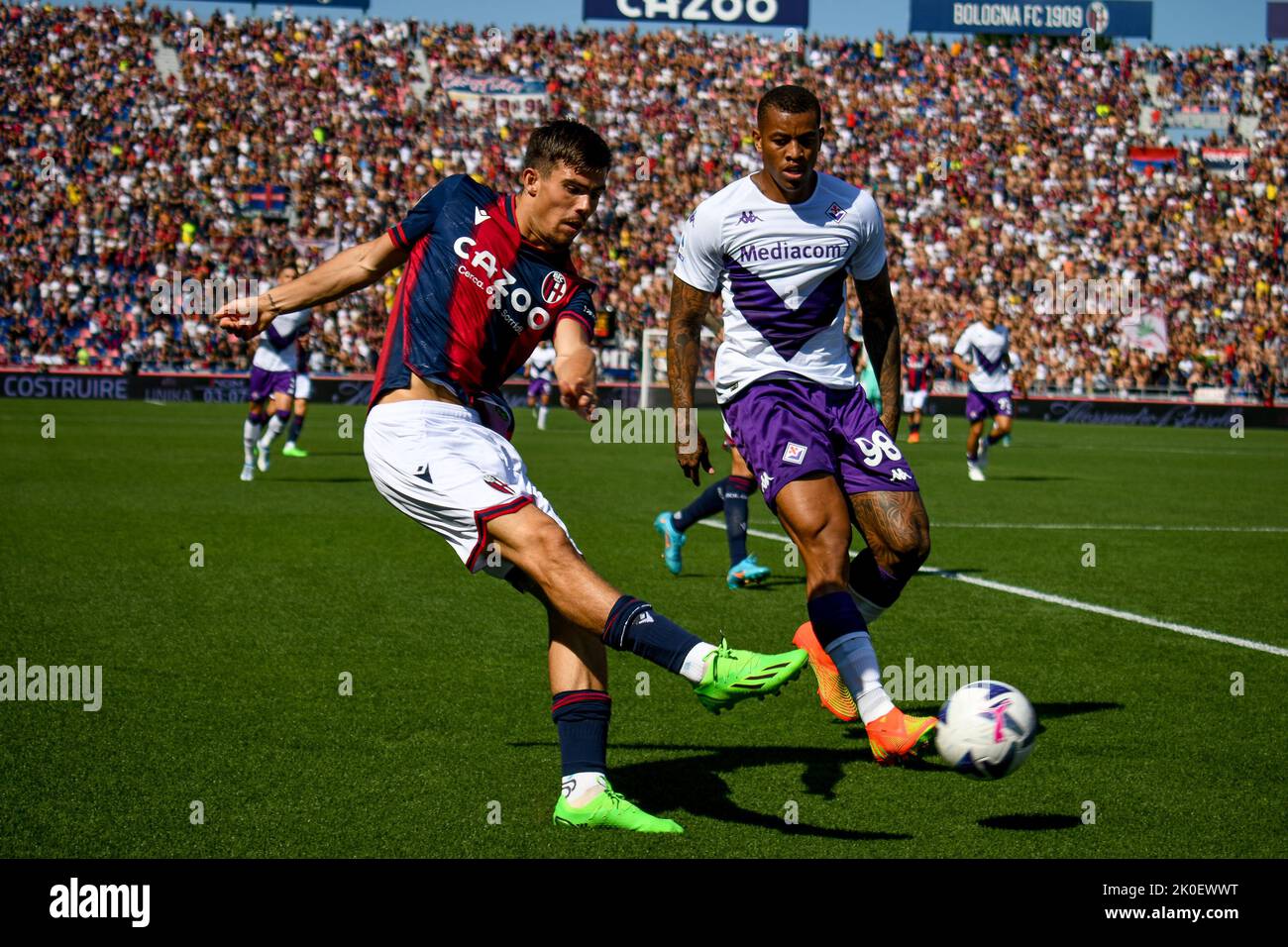 Renato Dall'Ara stadium, Bologna, Italy, September 11, 2022, Bologna's