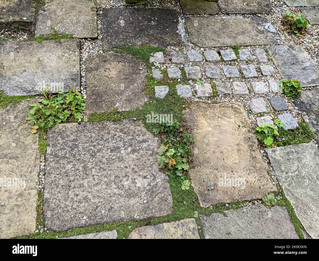 Plants growing between paving stones of different sizes laid on an old