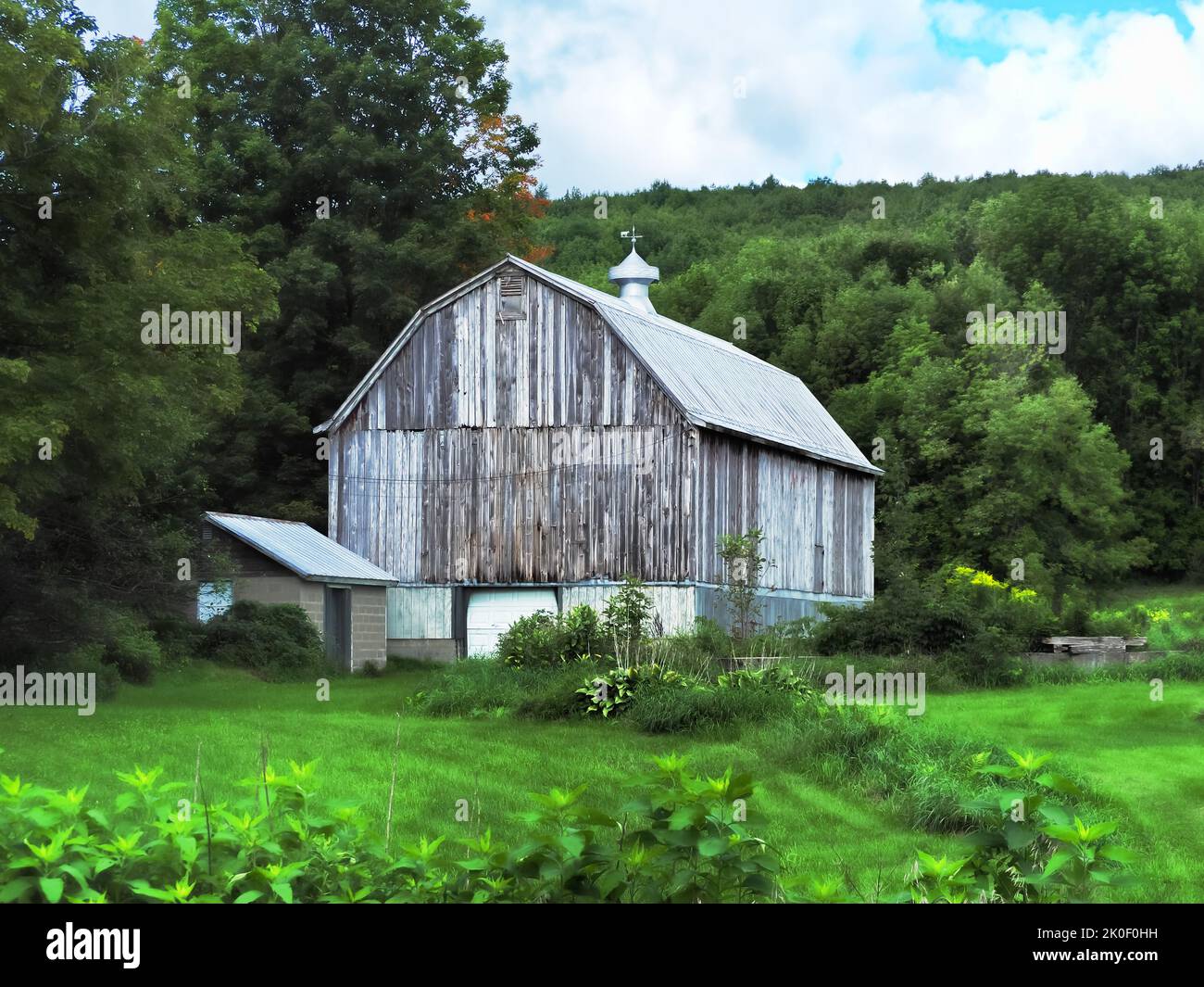 Barn and farmland in the Adirondack Mountains outside Thendara, New York Stock Photo