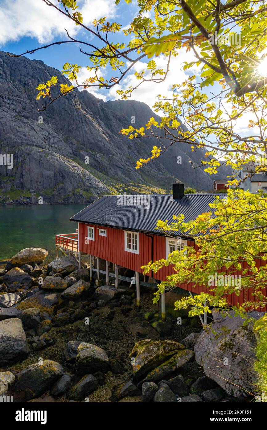 Traditional houses in Nusfjord, Lofoten, Norway Stock Photo Alamy
