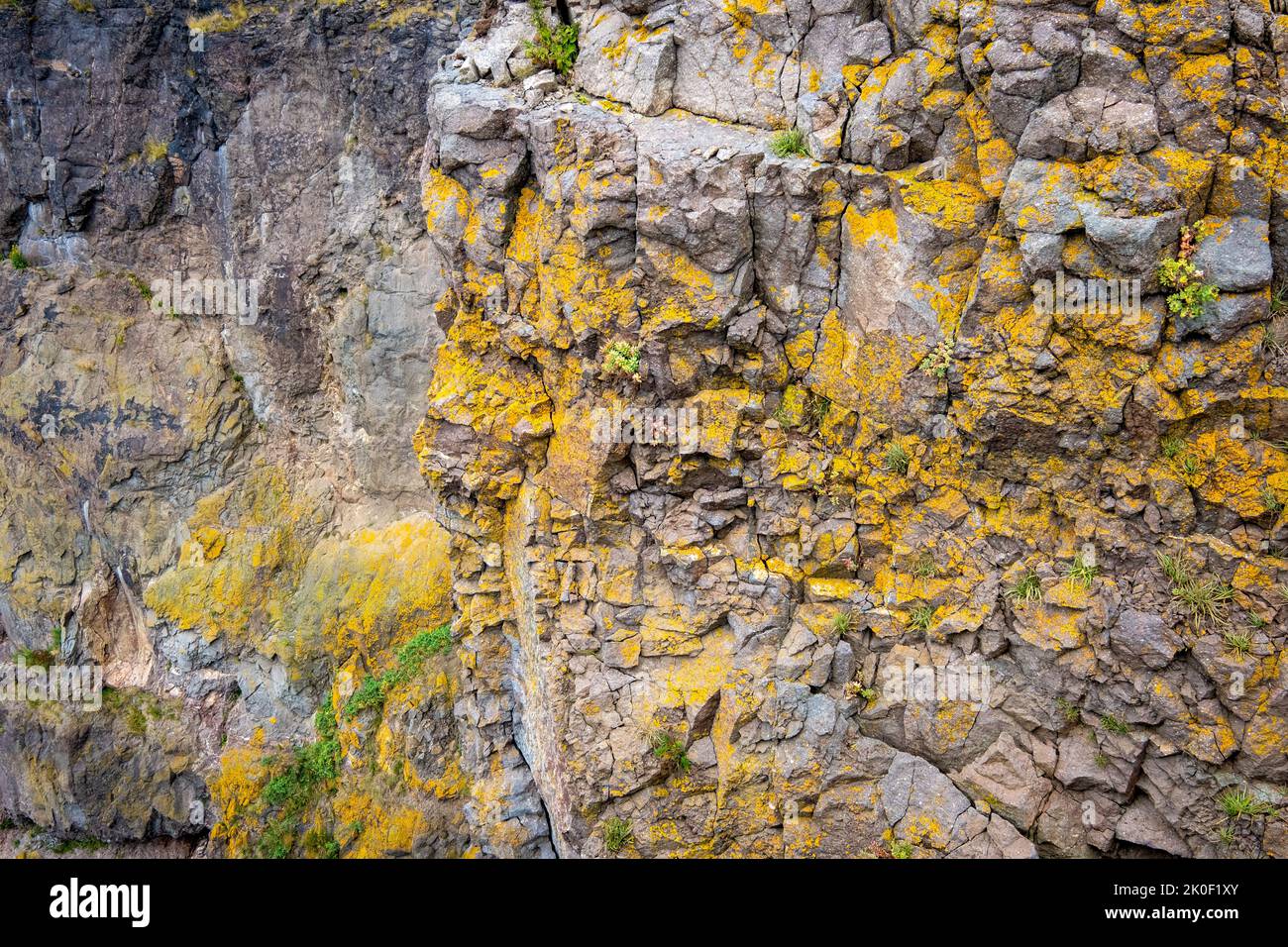 Close up of rock face at Cape Split Nova Scotia showing the texture and lichens and moss growing on it. Stock Photo