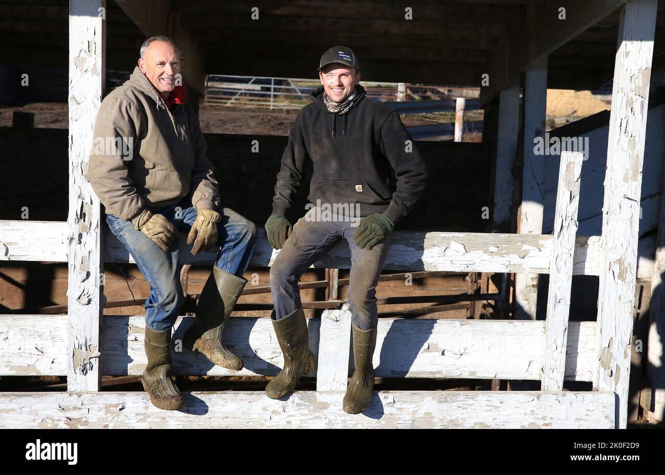 Maquoketa, Iowa, USA. 31st Oct, 2020. 62-year-old Bruce River, left and his 26-year-old son Peyton River pose for a picture after loading out Angus cattle from the families farm near Maquoketa, Iowa early Saturday, October 31, 2020. (Credit Image: © Kevin E. Schmidt/ZUMA Press Wire) Stock Photo