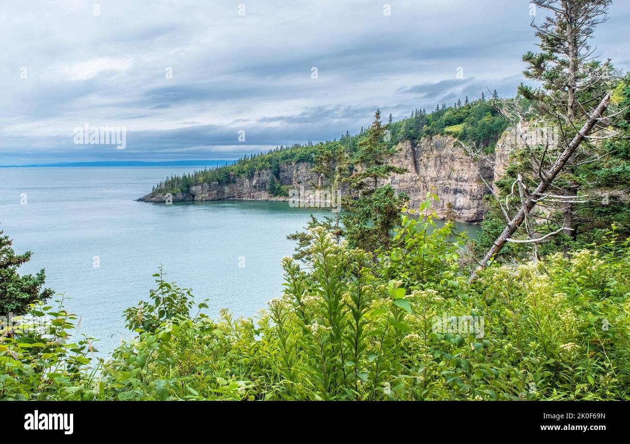 View from the Cape Split Nova Scotia trail over the Bay of Fundy on a cloudy overcast day. Stock Photo