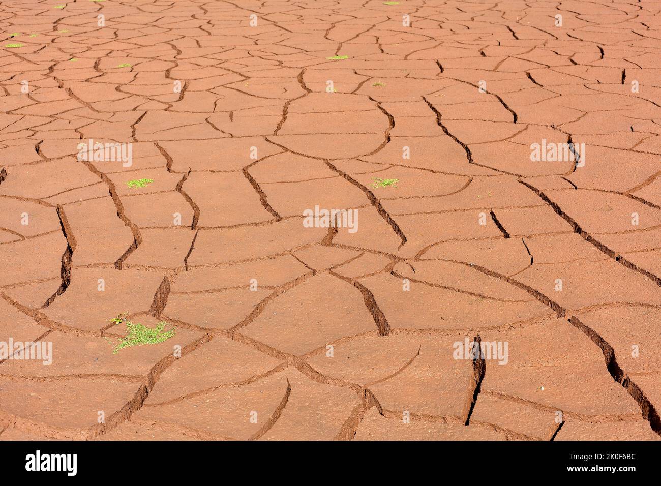 Drought, Lake of the canards, Lakes of Neila, Burgos, Castilla y Leon, Spain Stock Photo