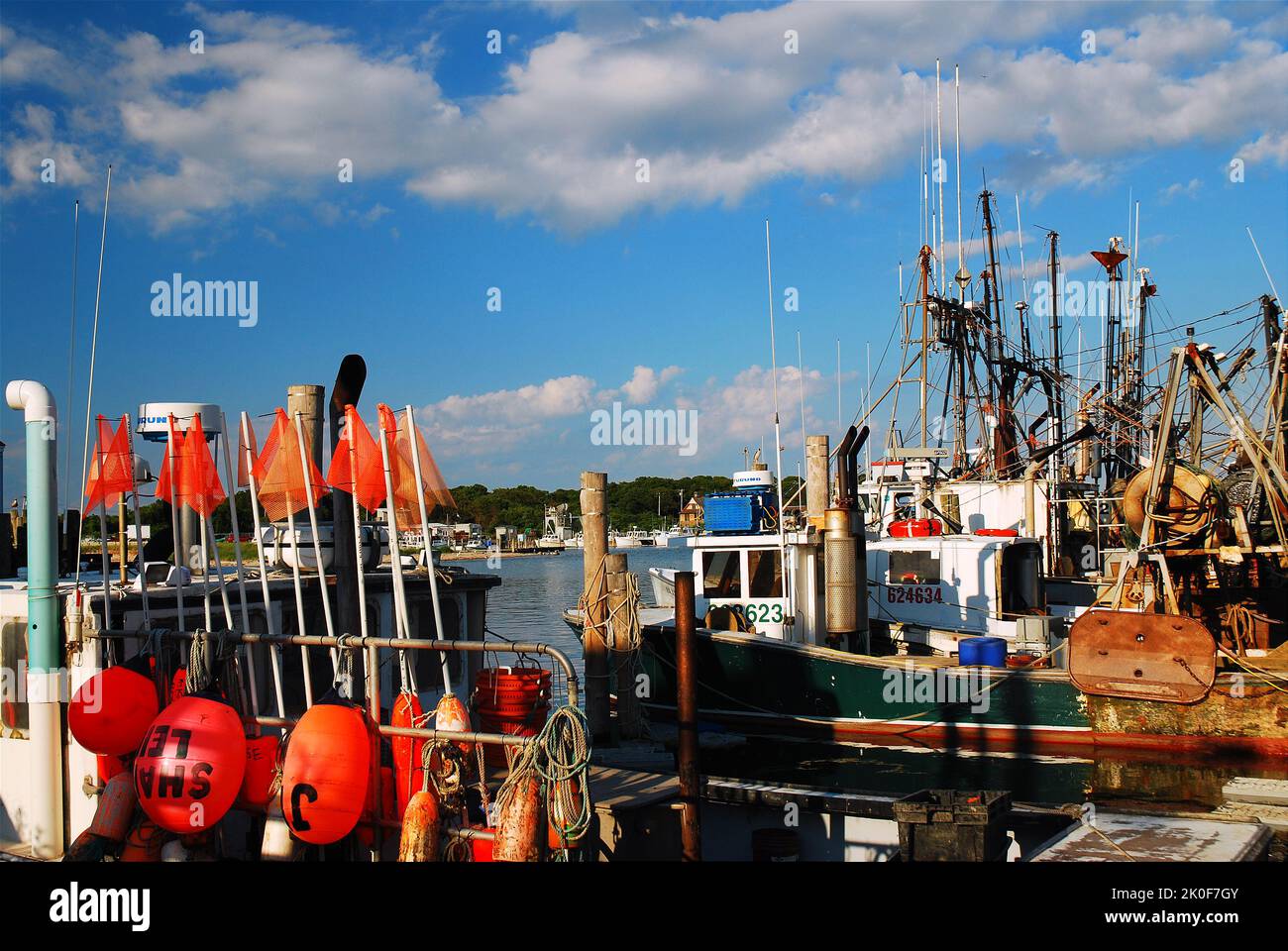 Industrial and commercial fishing fleet is docked at the port marina in
