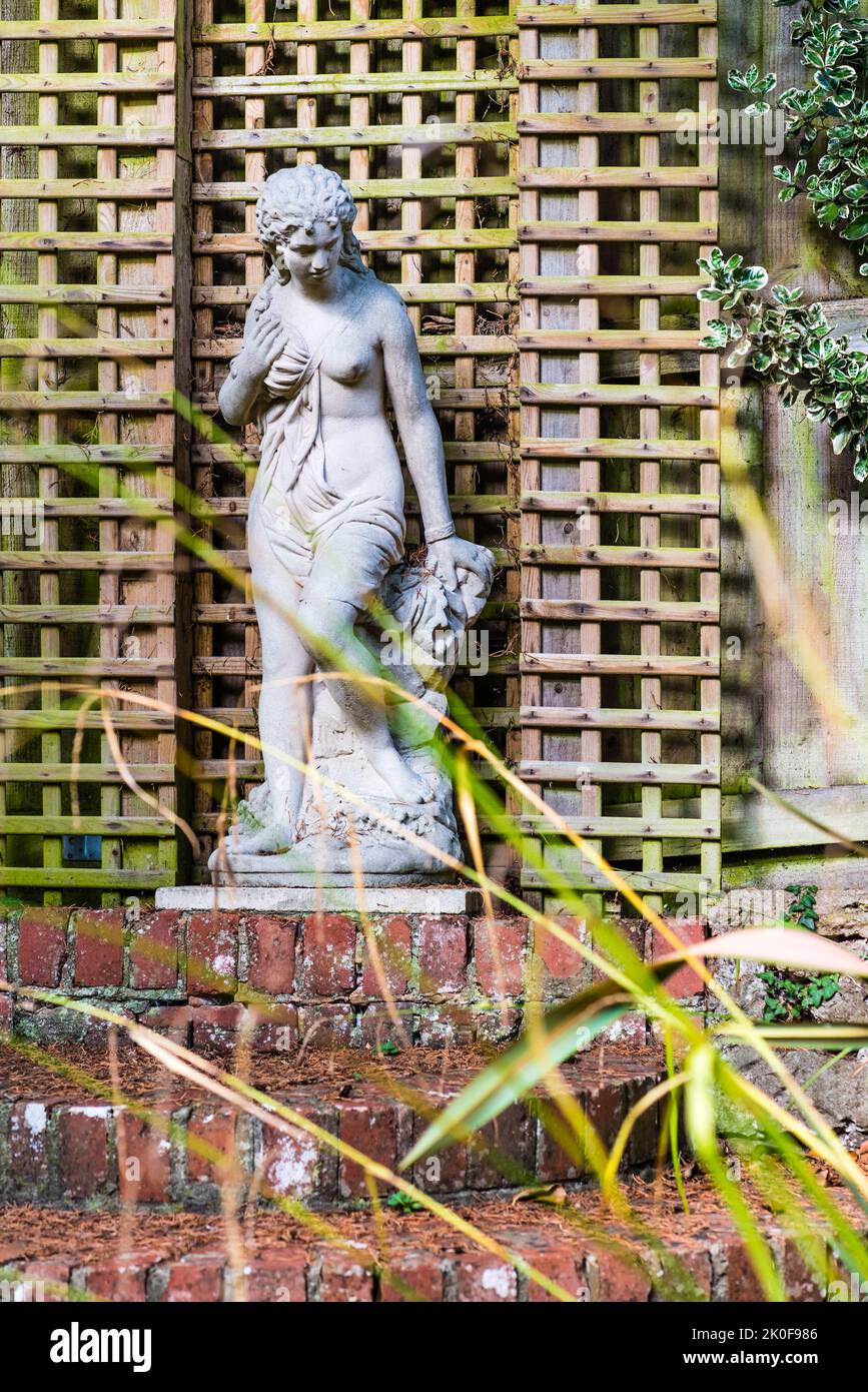 Andromeda in an English Country Garden. Stock Photo
