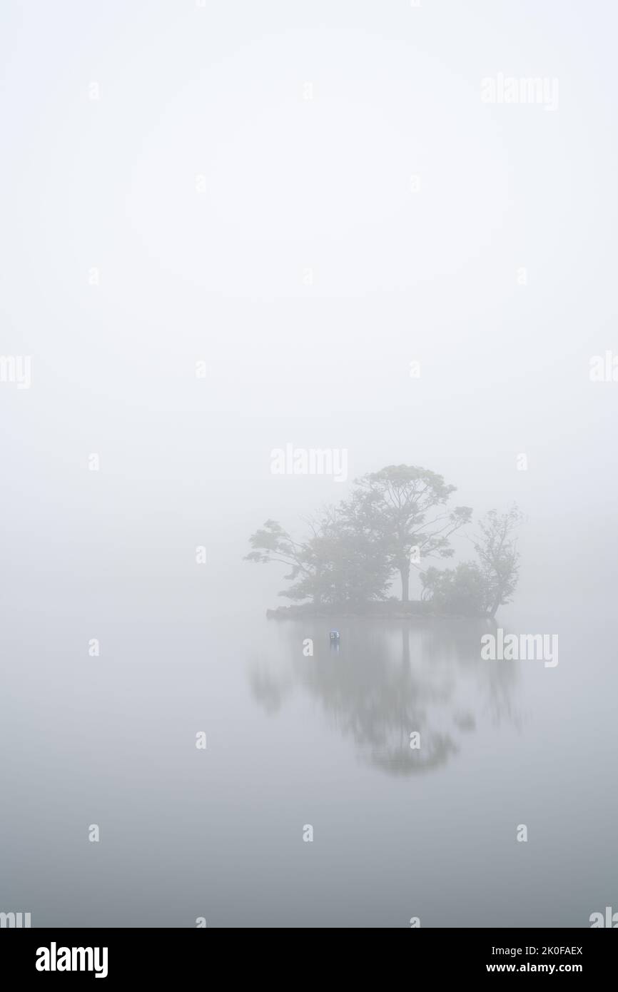 The small island on Yeadon Tarn is completely isolated by dense fog on a spring morning. Stock Photo