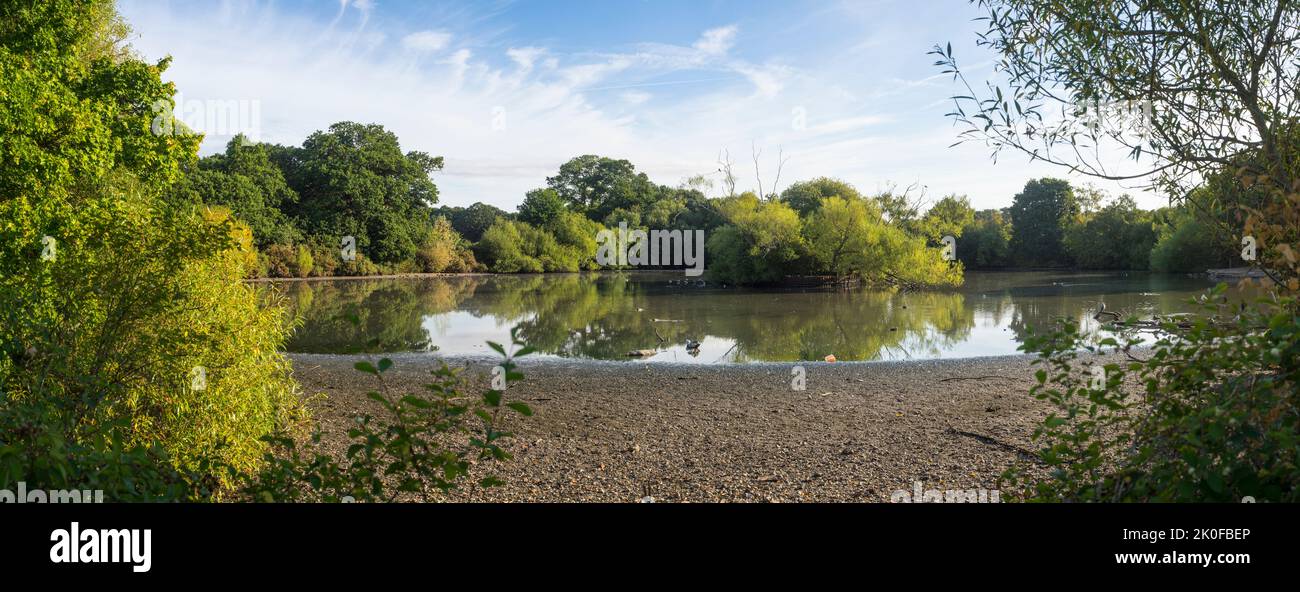The depleted Cemetery Lake on Southampton Common, Hampshire, England, on 2 August 2022 following the driest July since 1935. Stock Photo