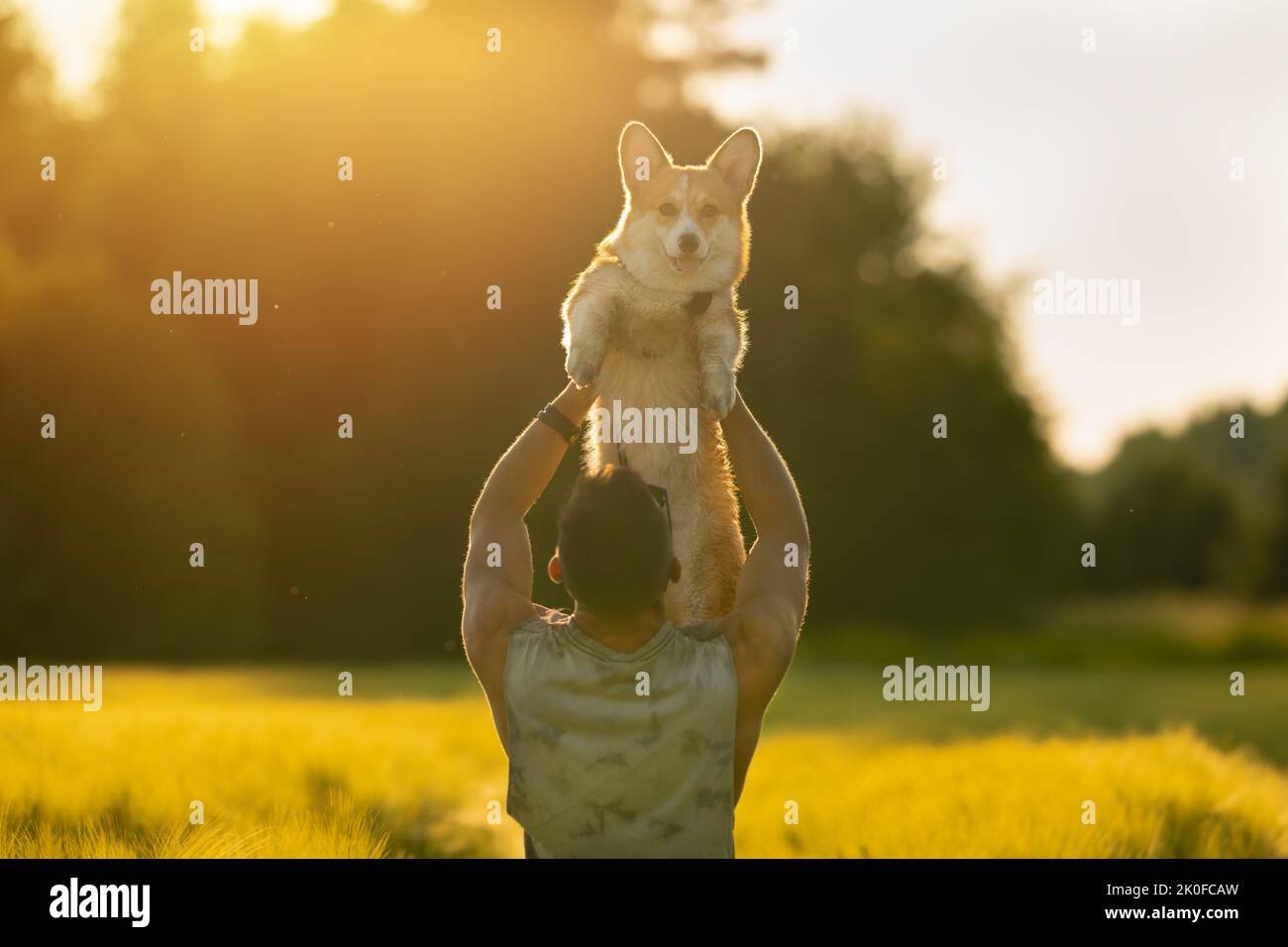 Man holding happy corgi dog in his arms at sunset. Dog and owner together. Love for pets Stock Photo
