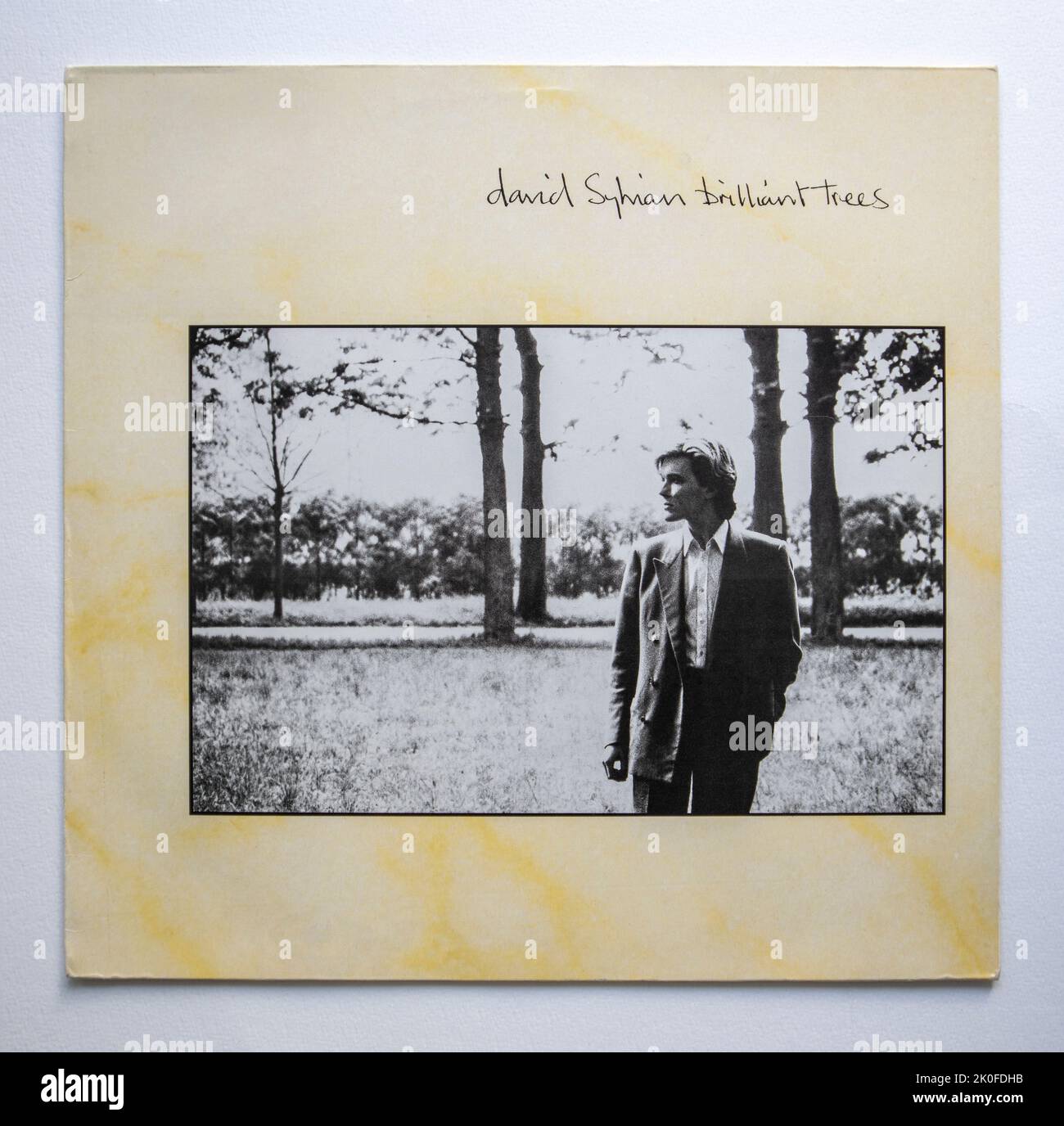 LP cover of Brilliant Trees, the debut solo album by British singer-songwriter David Sylvian (former lead singer of Japan), which was released in 1984. Stock Photo