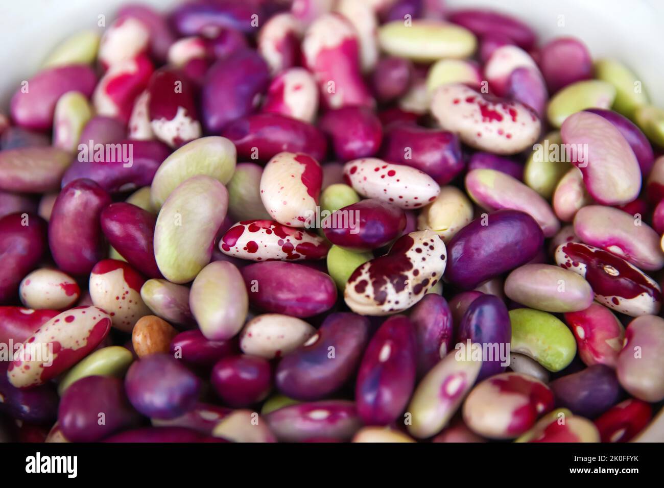 Defocus purple beans background. Background of many grains of dried