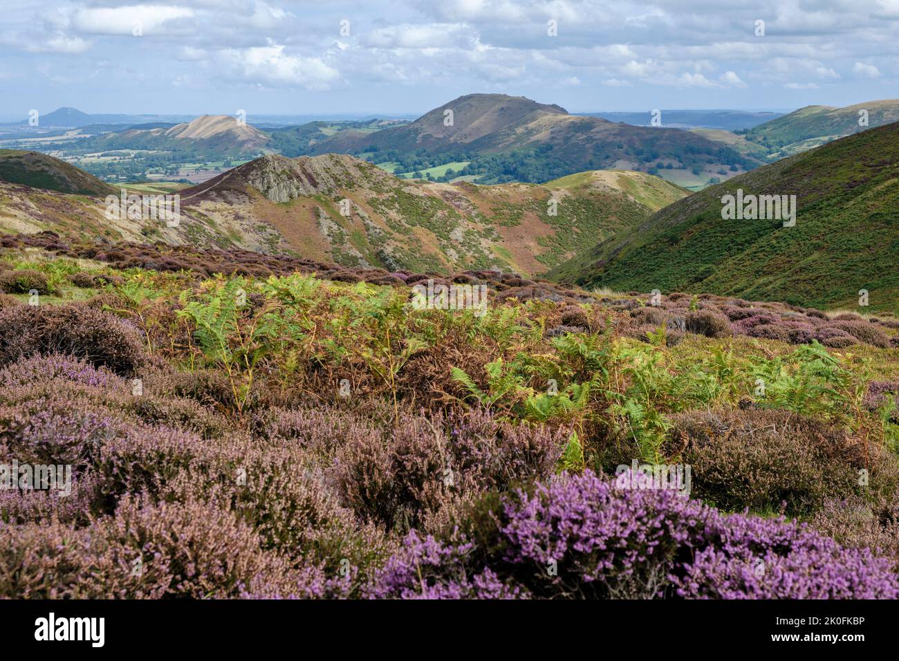 View down Town Brook valley from the Long Mynd towards Caer Caradoc, Church Stretton, Shropshire Stock Photo