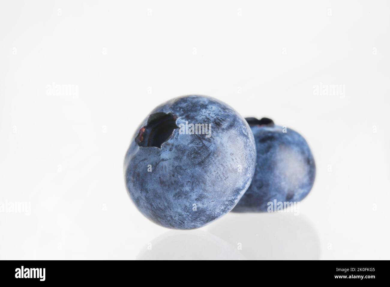 Blueberry. Two ripe blueberries isolated on white background. Readyto