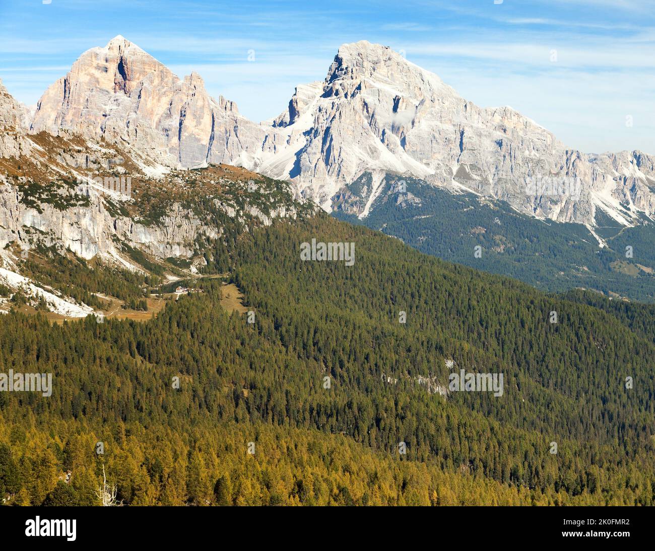 Larch wood and Le Tofane Gruppe, Dolomiti, Italy Stock Photo