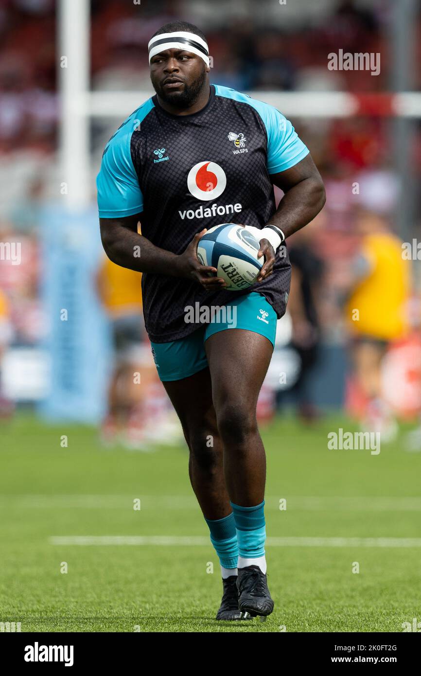 Wasps' Biyi Alo Stock Photo - Alamy