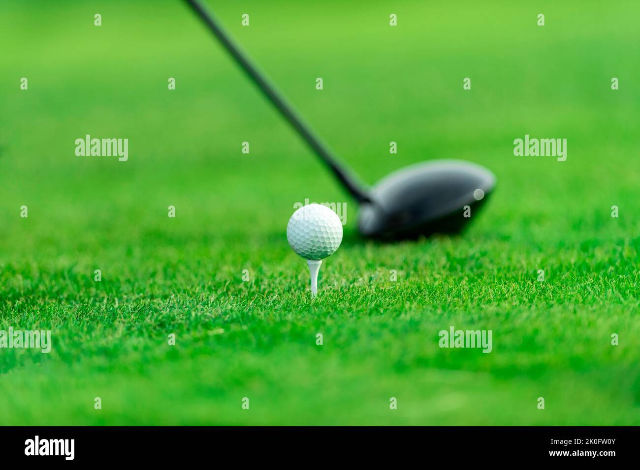 Golf ball on green grass. Sport theme background. Horizontal sport theme poster, greeting cards, headers, website and app Stock Photo