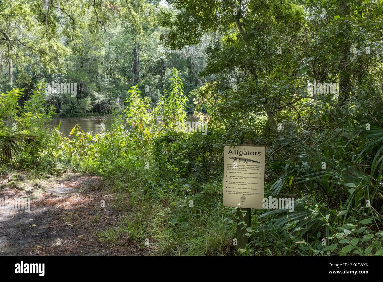 Alligator warning signs are commonplace near any pool of water on the South Carolina coast no matter how large or small. Stock Photo