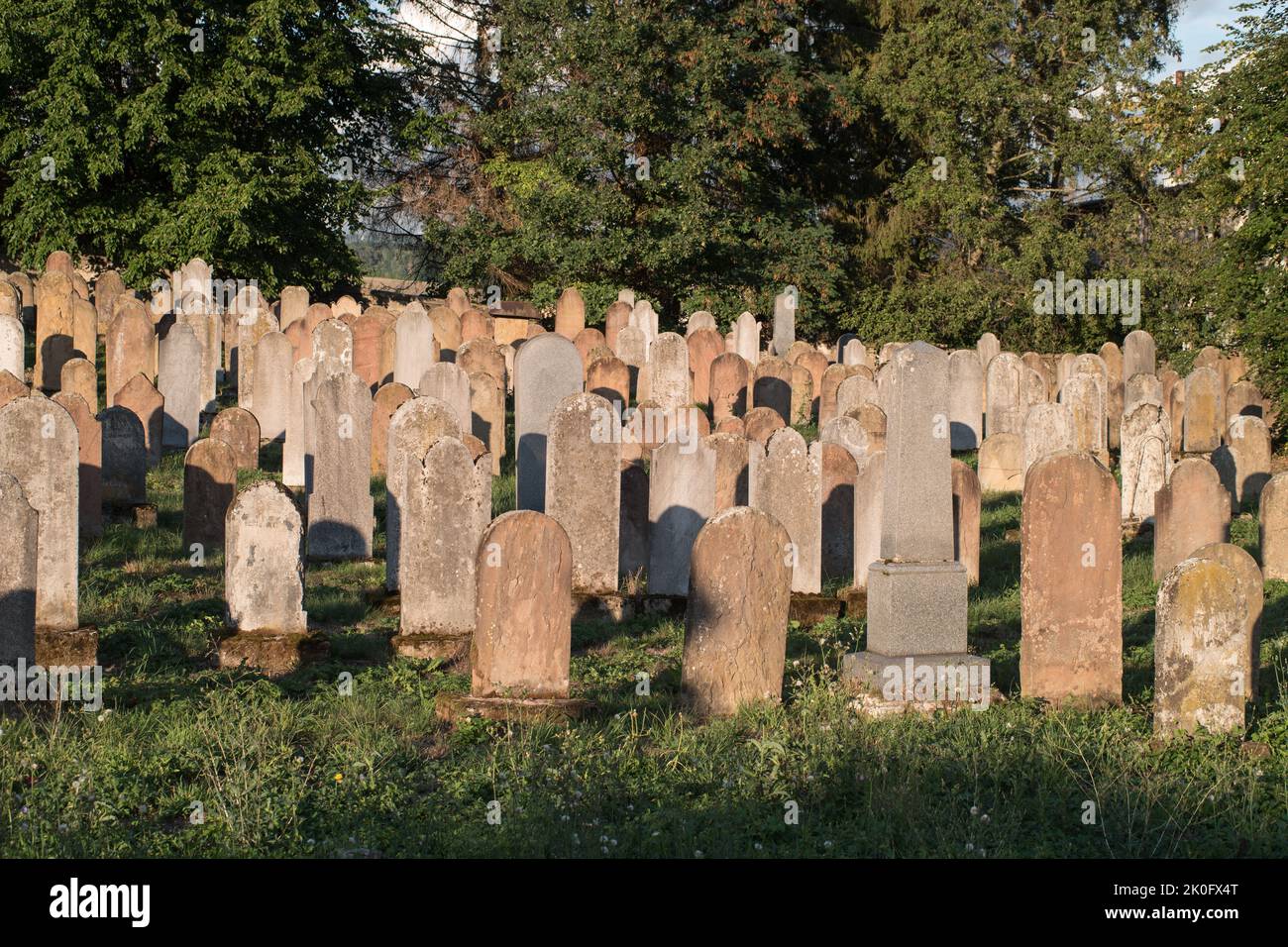 Bardejov, Slovakia. Historical Jewish cemetery from 18th to 20th century. Burial whit men, women and rabbis buried. Jew typical color tombstones. Stock Photo