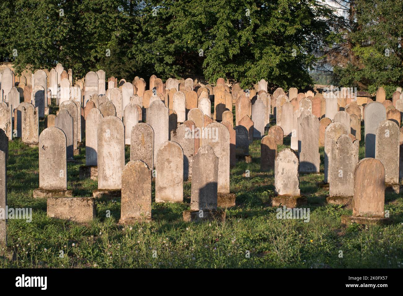 Bardejov, Slovakia. Historical Jewish cemetery from 18th to 20th century. The rows of graves are separated for women and men.  The tombstones. Stock Photo