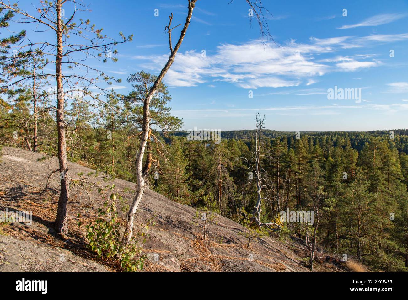 Natural landscape in Nuuksio national park in Finland Stock Photo